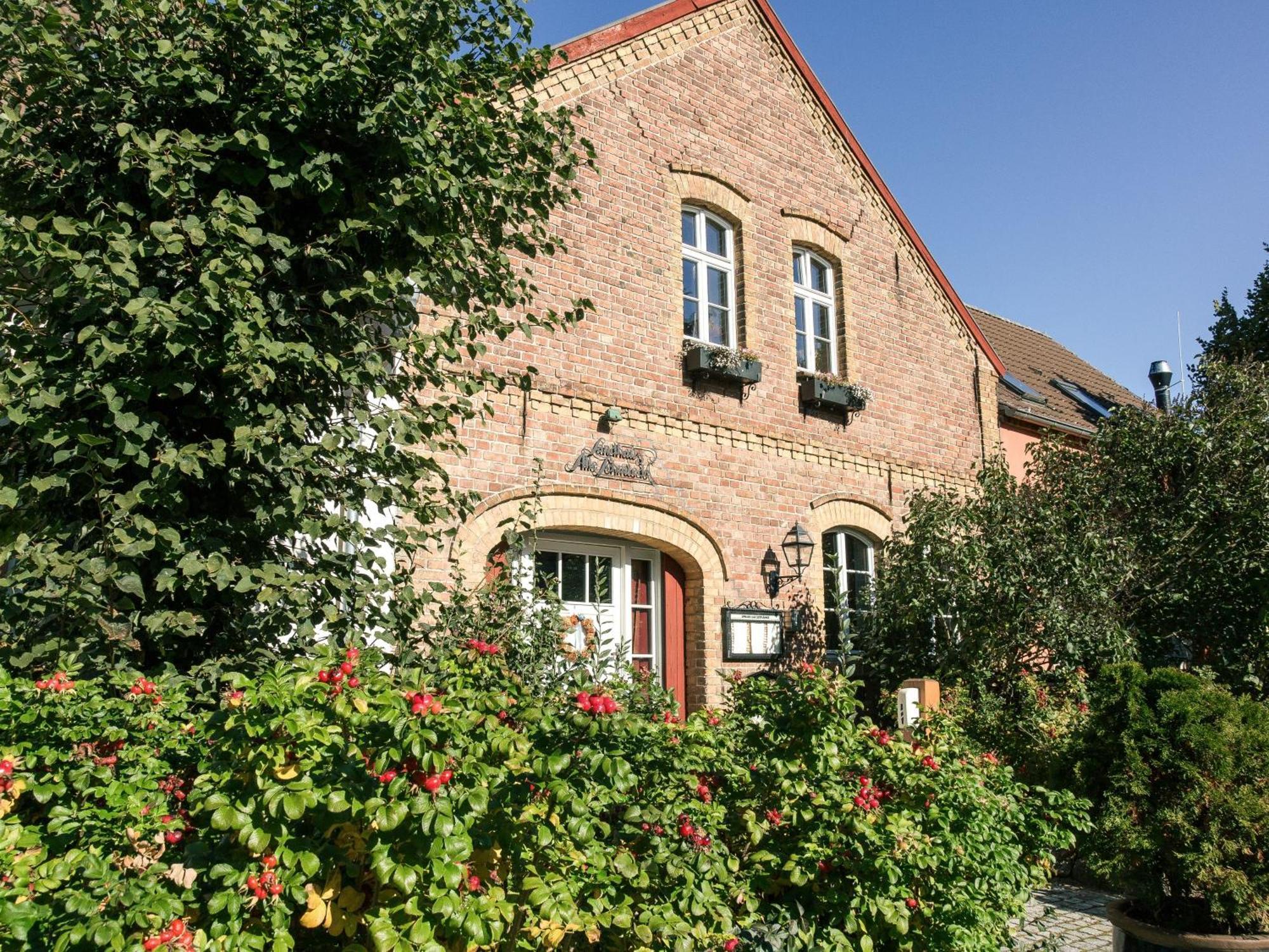 Landhaus Alte Schmiede Niemegk  Екстериор снимка